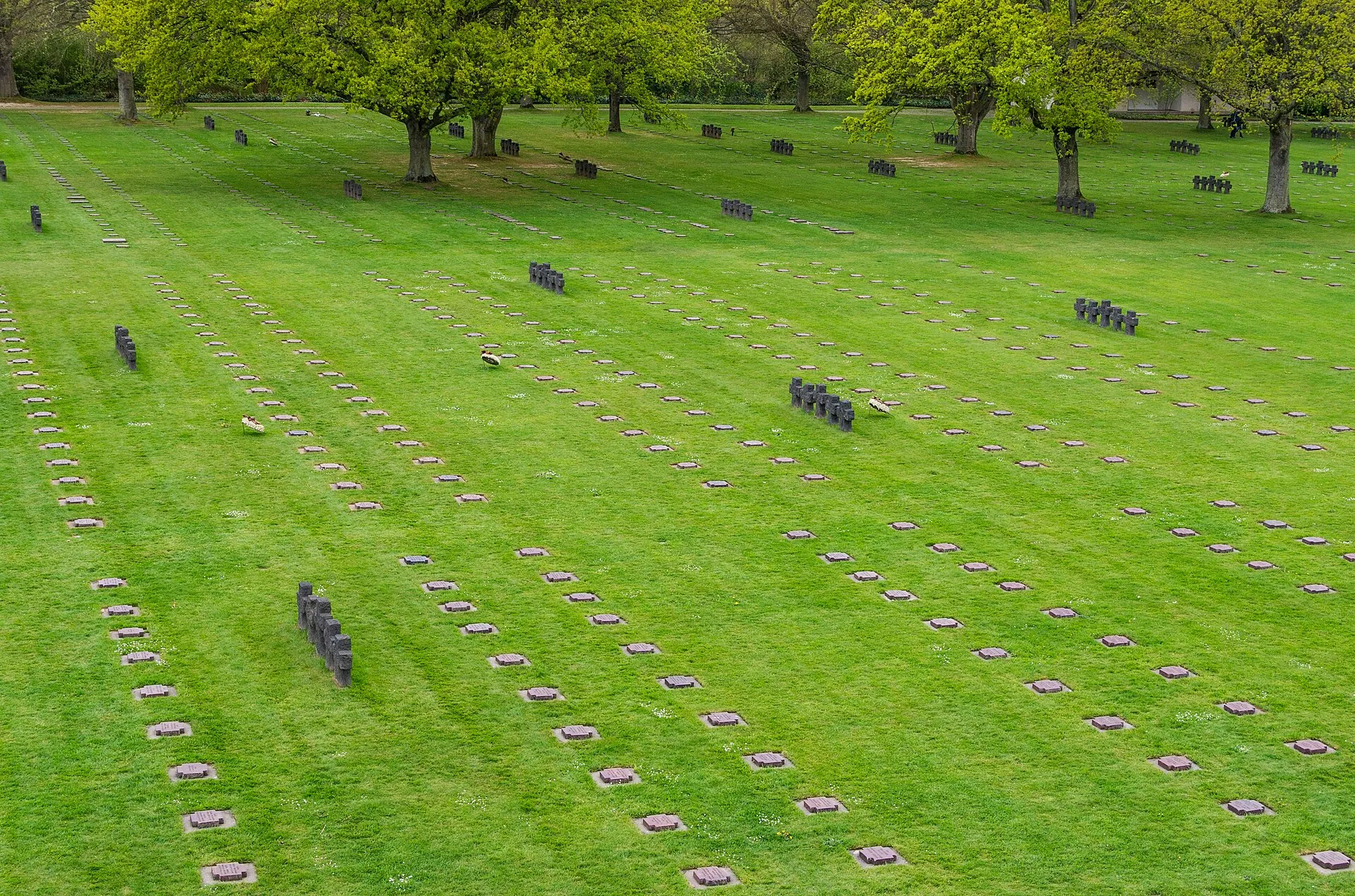 Les croix sombres et le tumulus central du cimetière allemand de La Cambe